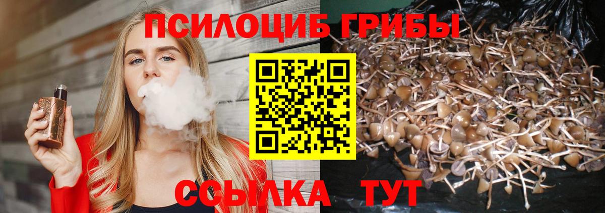 Галлюциногенные грибы прущие грибы Балтийск
