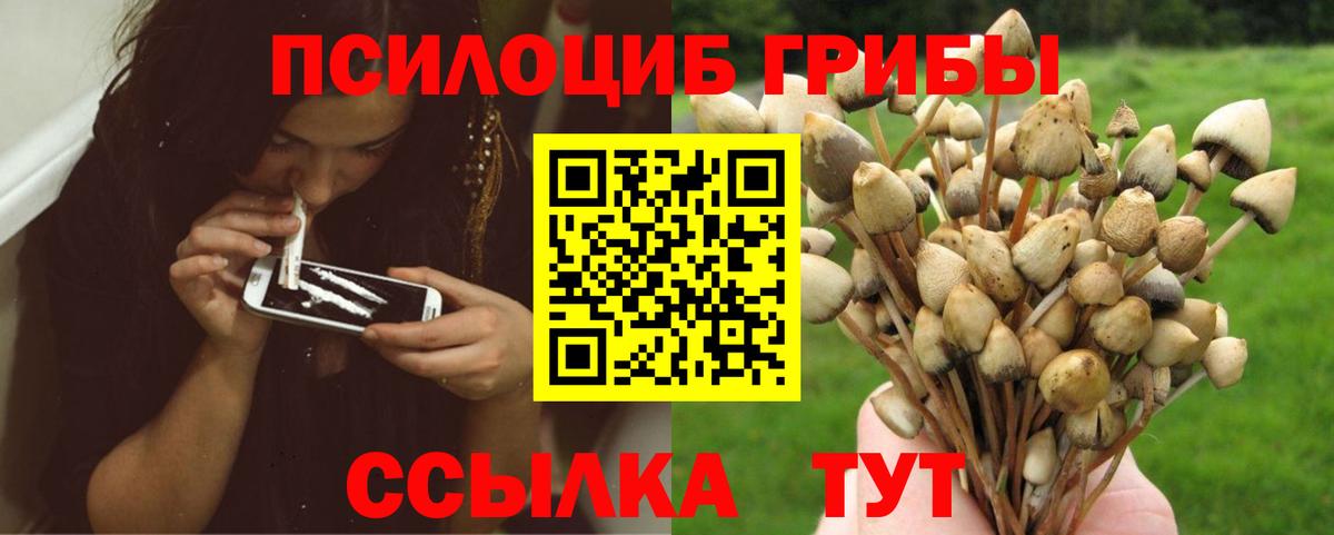 Псилоцибиновые грибы мицелий  Вход с VPN  Балтийск 